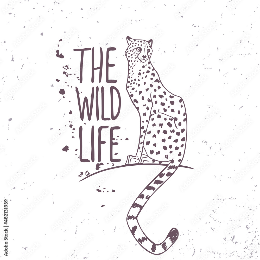 Fototapeta premium leopard