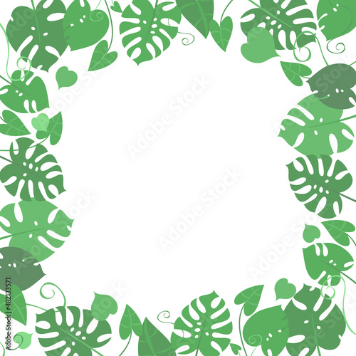 Exotic plants, monstera leaves, philodendron, creepers, botany, flora. Square botanical frame, space for text. Vector illustration. Graphic design template.