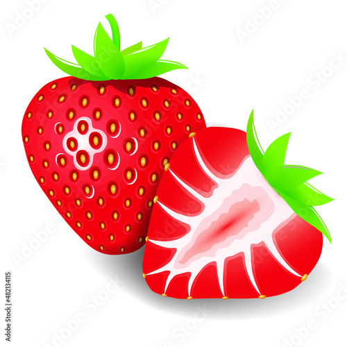 fresh Strawberry fruits vector isolated on white background.