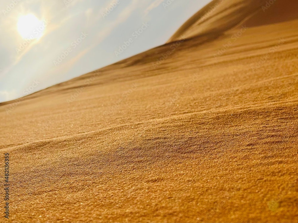 Fototapeta premium sand dunes in the desert