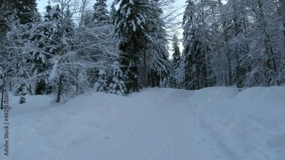 Driving on snowy forest road in winter. Alpine valley in Slovenia in wintertime. Moving on narrow mountain route surrounded with forest. Dash camera point of view. Dascham POV perspective Driving on snowy forest road in winter. Alpine valley in Slovenia in wintertime. Moving on narrow mountain route surrounded with forest. Dash camera point of view. Dascham POV perspective