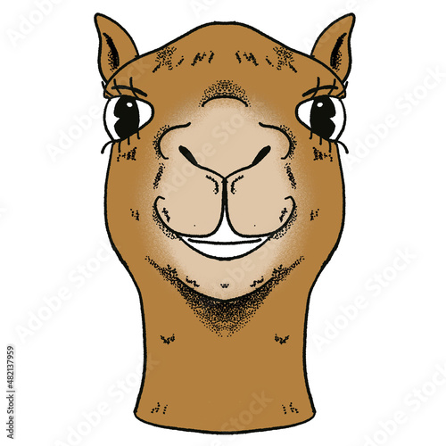 vintage cartoon style camel face