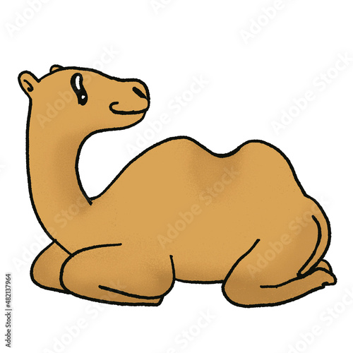 anime camel cartoon illustration