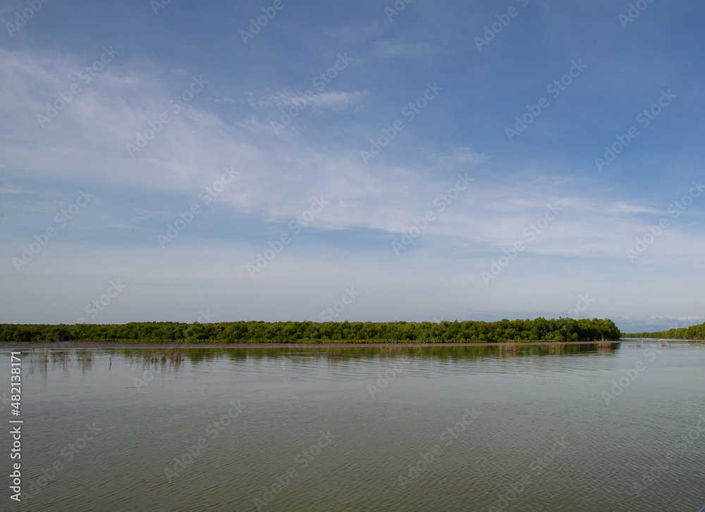 The mangrove forest is full of trees, uninhabited, a quiet place to be inhabited by all kinds of sea creatures in the morning light, and the clouds and clear skies are the beauty of the Dharma.