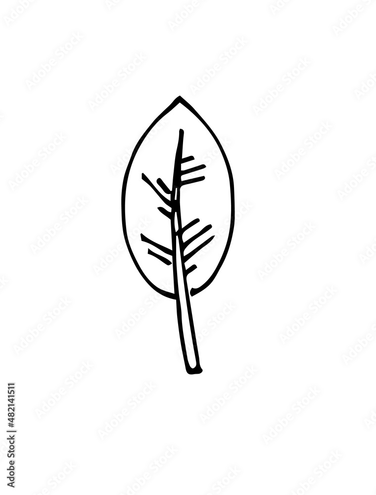 Tree leaf. Hand drawing outline. Sketch isolated on a white background. Vector Tree leaf. Hand drawing outline. Sketch isolated on a white background. Vector
