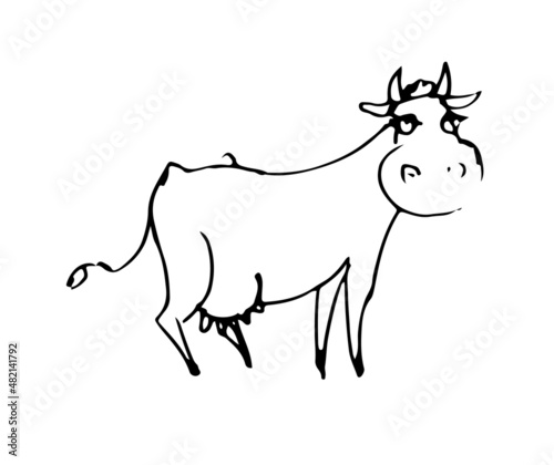 Cow funny. Cheerful wild animal. A comical character. Outline sketch. Hand drawing is isolated on a white background. Vector