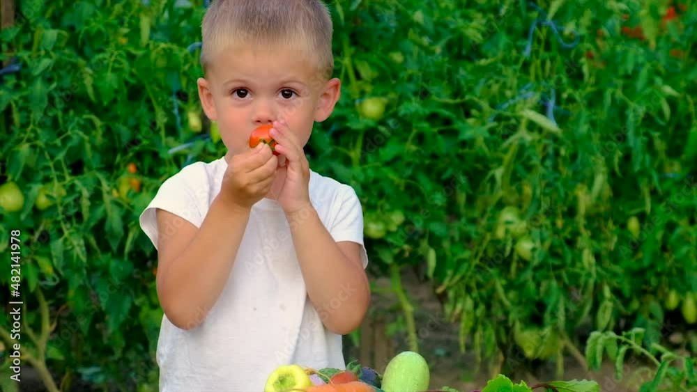 A child in the garden with a harvest of vegetables. Selective focus. A child in the garden with a harvest of vegetables. Selective focus.