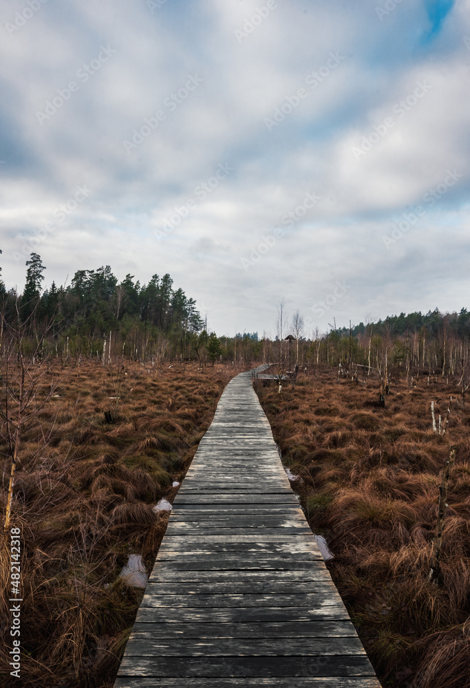 Fototapeta premium wooden bridge path over the swamp