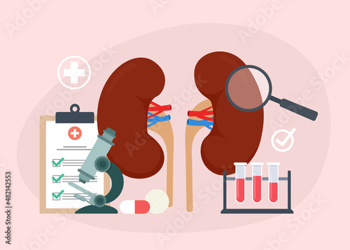 Treatment of kidney disease and diagnostic. Health of the kidneys concept. Flat vector illustration.