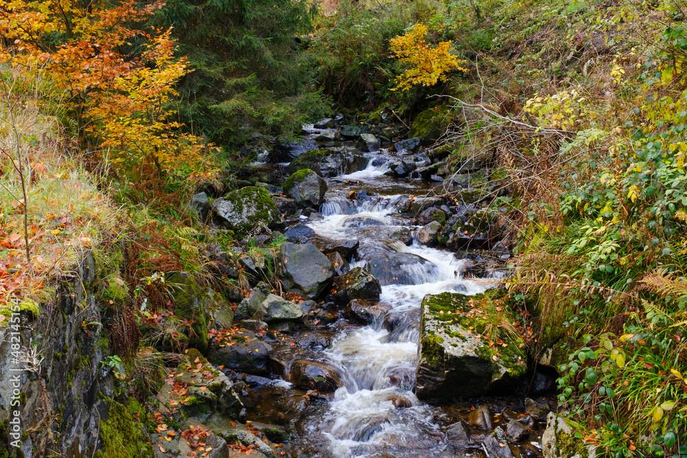 Fluß Radau, Radautal im Herbst, Nationalpark Harz, Harz, Niedersachsen, Deutschland, Europa