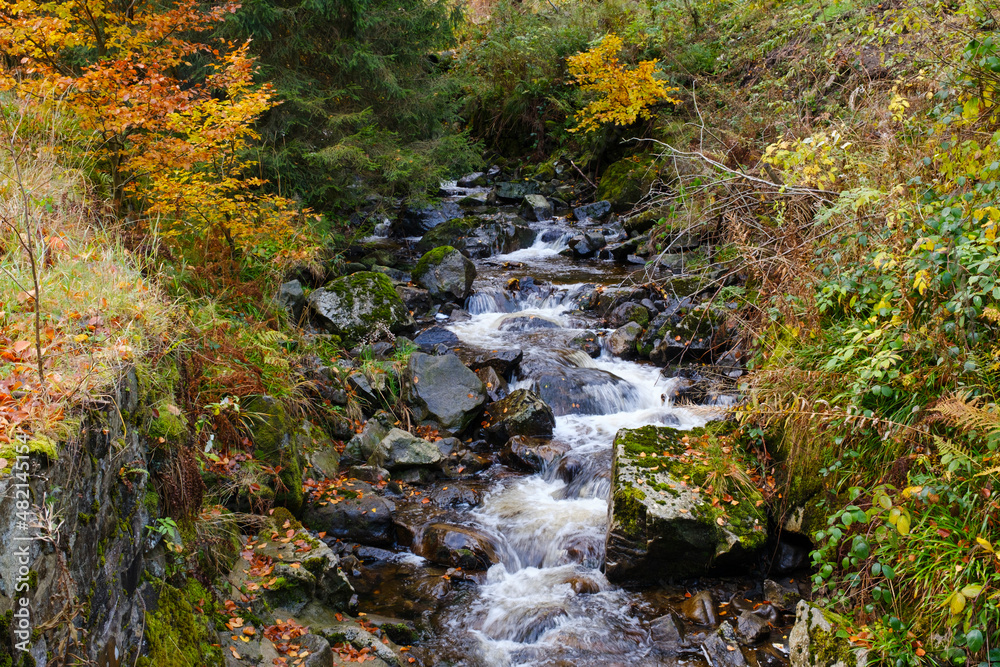 Fluß Radau, Radautal im Herbst, Nationalpark Harz, Harz, Niedersachsen, Deutschland, Europa Fluß Radau, Radautal im Herbst, Nationalpark Harz, Harz, Niedersachsen, Deutschland, Europa