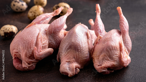 Raw fresh quail birds with quail eggs. Healthy food