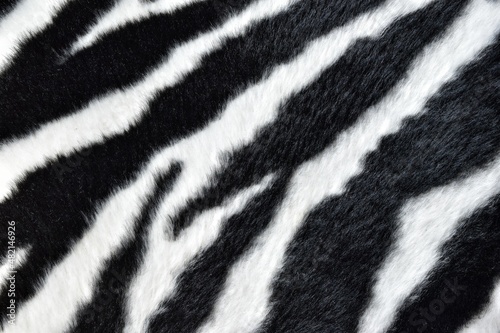 close-up black and white zebra background texture
