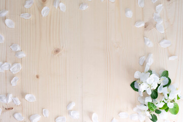 Small bouquet of white cherry flowers and green leaves in the corner on wooden textured background. Copy space spring floral mockup.