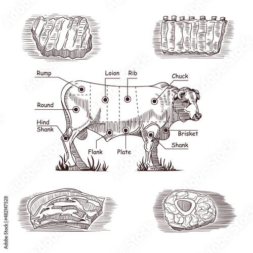 Set of hand drawings on Meat theme.