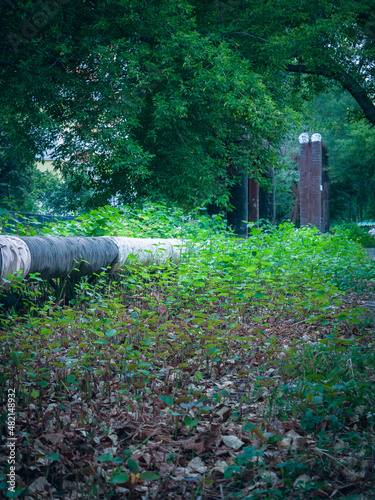 old tube on the ground with grass © Norgle