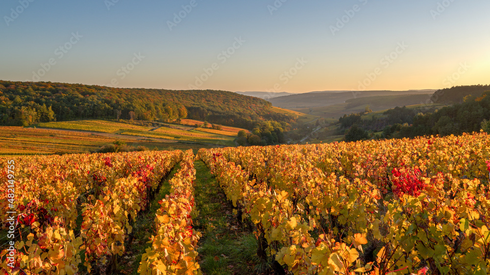 Climat de Bourgogne  