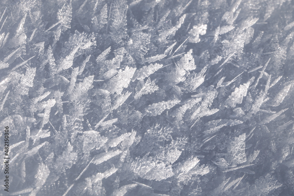 Obraz premium Natural snow crystals. Very frosty weather in the mountains. Macro photography