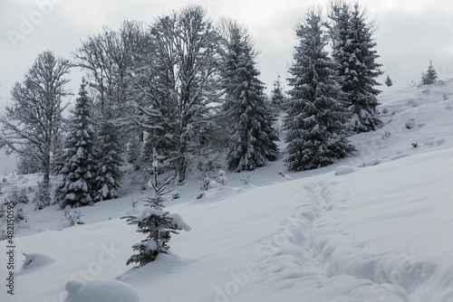 Beautiful winter views of the High Tatra Mountains with tourists, skiers and amazing states of nature