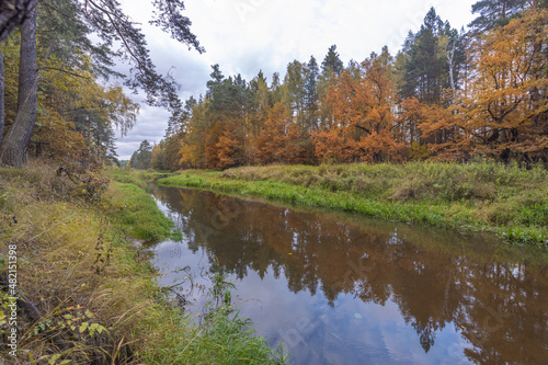 Bright autumn foliage on trees in yellow, red, orange and green colors. Cloudy weather in the forest Idyllic autumn landscape. Clean nature, ecology, seasons, environmental protection.