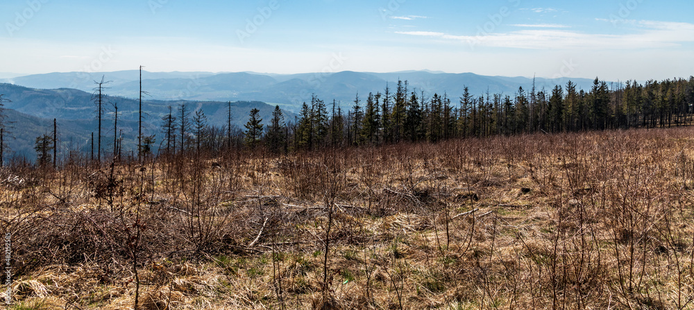 View from forest glade bellow Velka Cantoryje hill in Slezske Beskydy mountains View from forest glade bellow Velka Cantoryje hill in Slezske Beskydy mountains