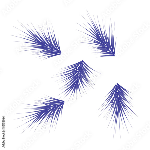 very peri fir tree branch clip art decor element collection
