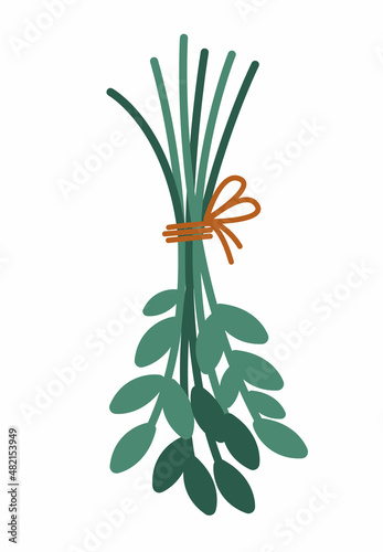 Vector cute leaves bouquet. Flat style crop bunch tied with rope. Funny plant illustration isolated on white background. Drying green twigs hanging upside down. Farm herbs icon.