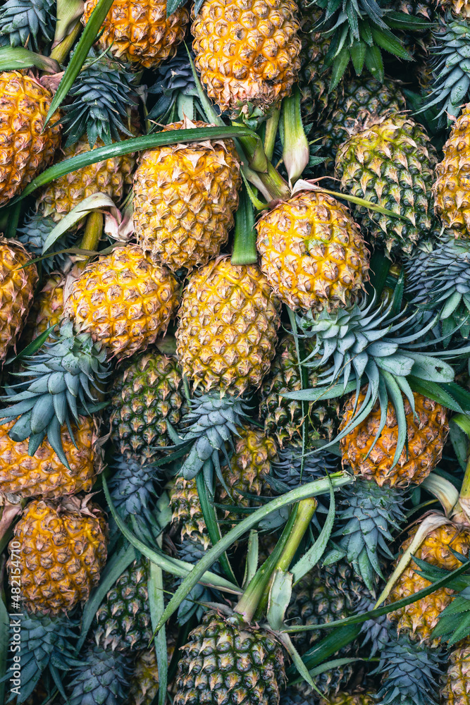 Pineapple background, lots of ripe yellow pineapples at market asia fruit food pineaple. Sri Lanka. Pineapple background, lots of ripe yellow pineapples at market asia fruit food pineaple. Sri Lanka.