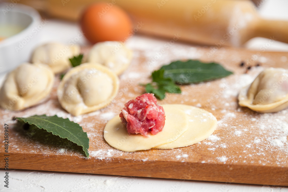 Meat dumplings. Raw dough with minced meat for dumpling on white background Meat dumplings. Raw dough with minced meat for dumpling on white background
