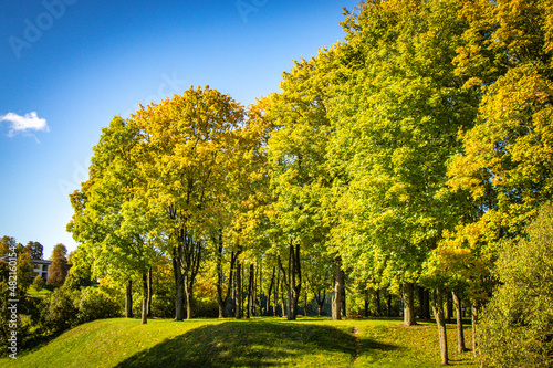 autumn landscape in bauska  latvia  baltic countries  baltics  europe