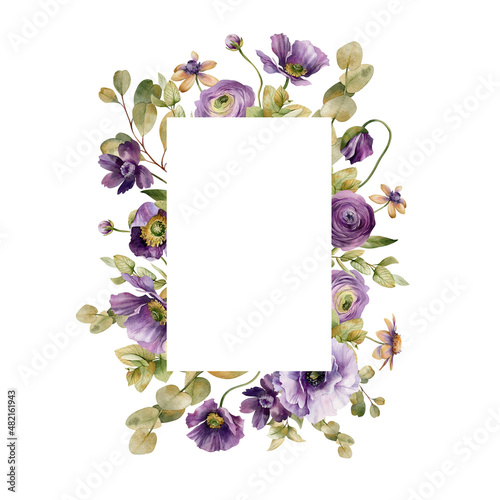 Watercolor frame with purple poppy flowers, ranunculus, anemones and foliage. Illustration for design, print, background, wedding invitation