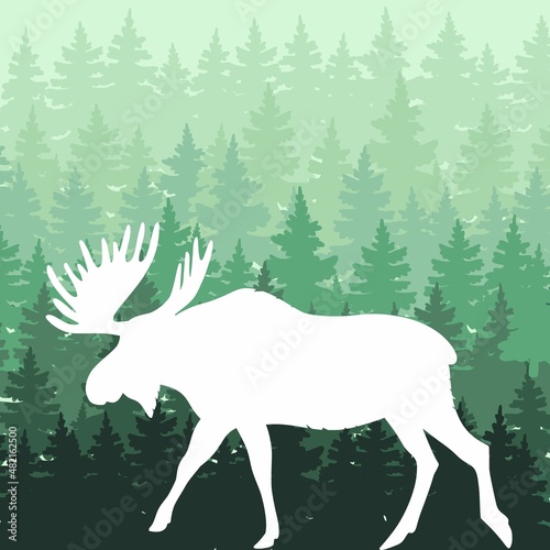 Vector drawing of a moose on a forest background