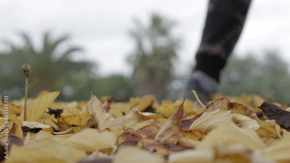 man walks on ground covered with yellow and orange autumn leaves