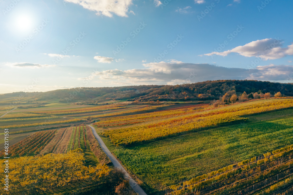 Colorful vineyards fields from above during sunset in autumn. View to Enzersfeld in the Austrian Weinviertel region.