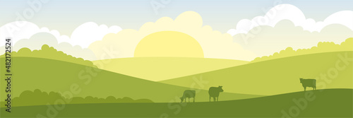 Abstract rural landscape with cows. Vector illustration, fields and meadows