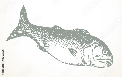 Vector fishes still life from the biblical story
