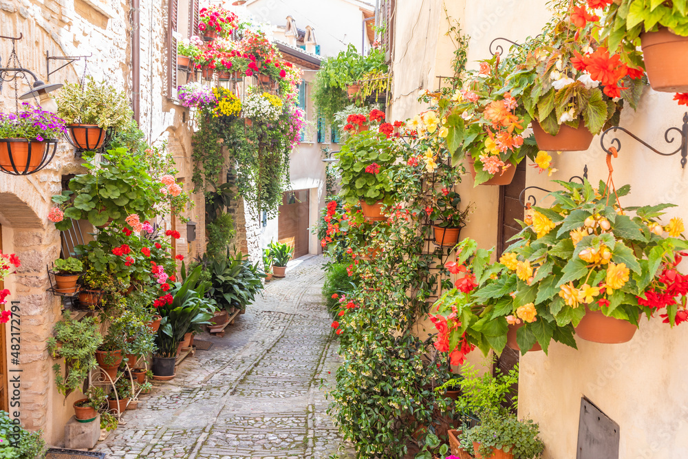 Flowers in ancient street located in Spello village. Umbria Region, Italy.