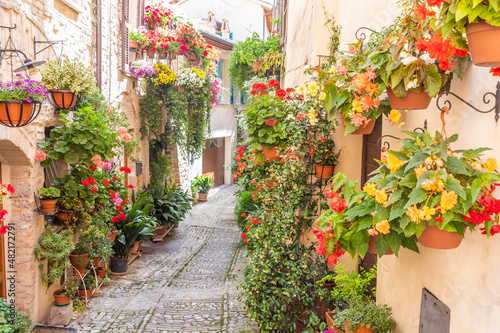 Flowers in ancient street located in Spello village. Umbria Region  Italy.