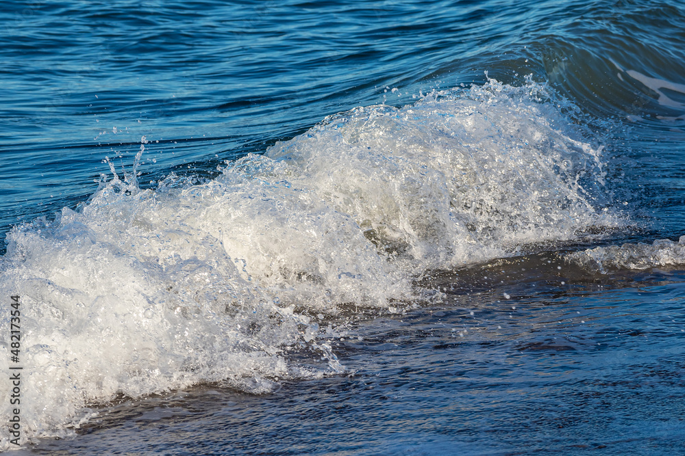 Obraz premium Ostseewelle auf dem Fischland-Darß in Dierhagen