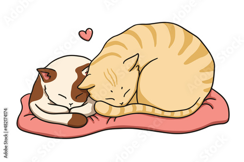 Couple of sleeping cats in love on a blanket, icon, sticker, postcard, decoration element for Saint Valentine's day
