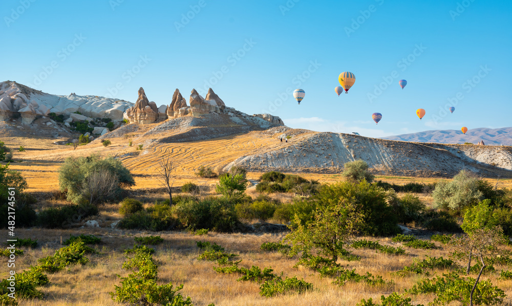 Valley with hot air balloons