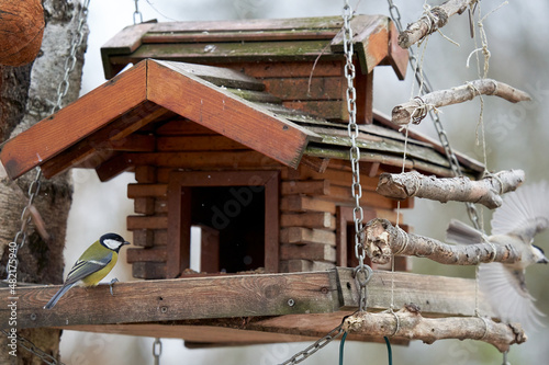 Tit at the wooden bird house. Winter feeding in snow and frost. Great tit (Parus major, Kohlmeise). Shelter for animals and songbirds.