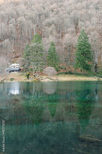 Trois arbres se reflétant sur le lac de Bethmale