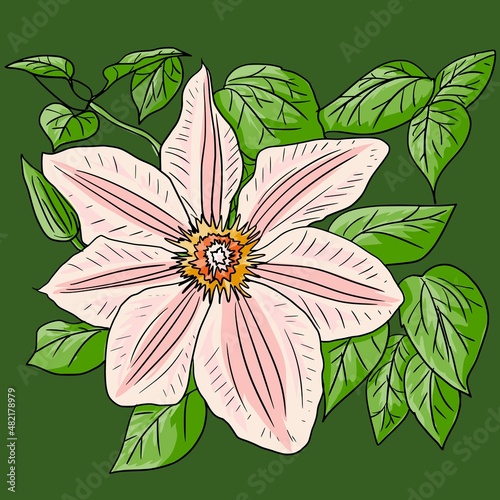 Lily flower. Beautiful, bright, yellow flower. Vector illustration