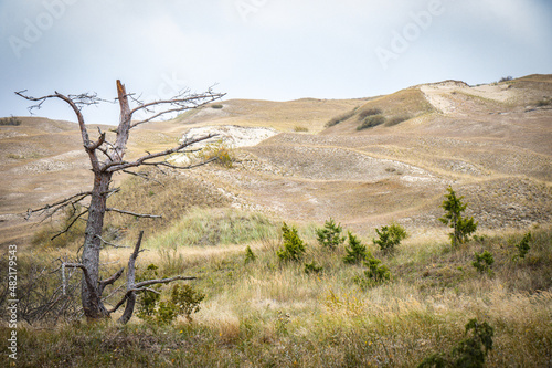 sand dunes on curonian spit, lithuania, nida, baltic countries, baltics, europe © Andrea Aigner