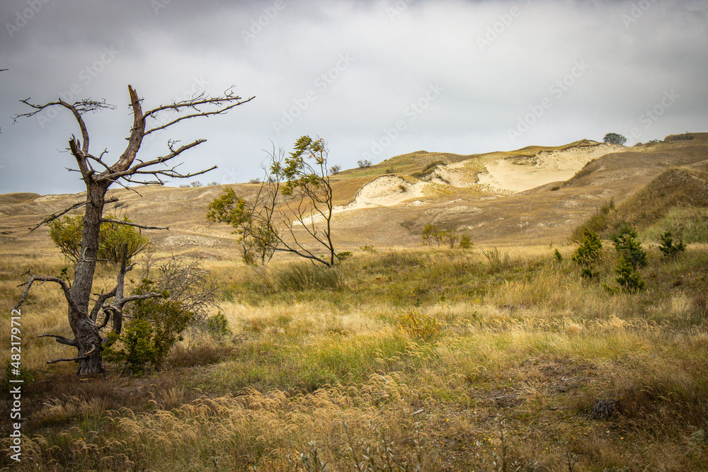 sand dunes on curonian spit, lithuania, nida, baltic countries, baltics, europe sand dunes on curonian spit, lithuania, nida, baltic countries, baltics, europe