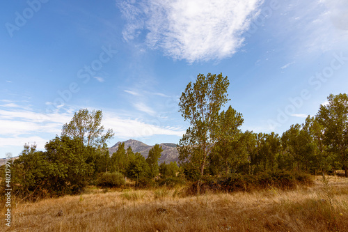 summer day in guadarrama sierra with country landscape and poplars and in the background the mountains. cerceda madrid spain