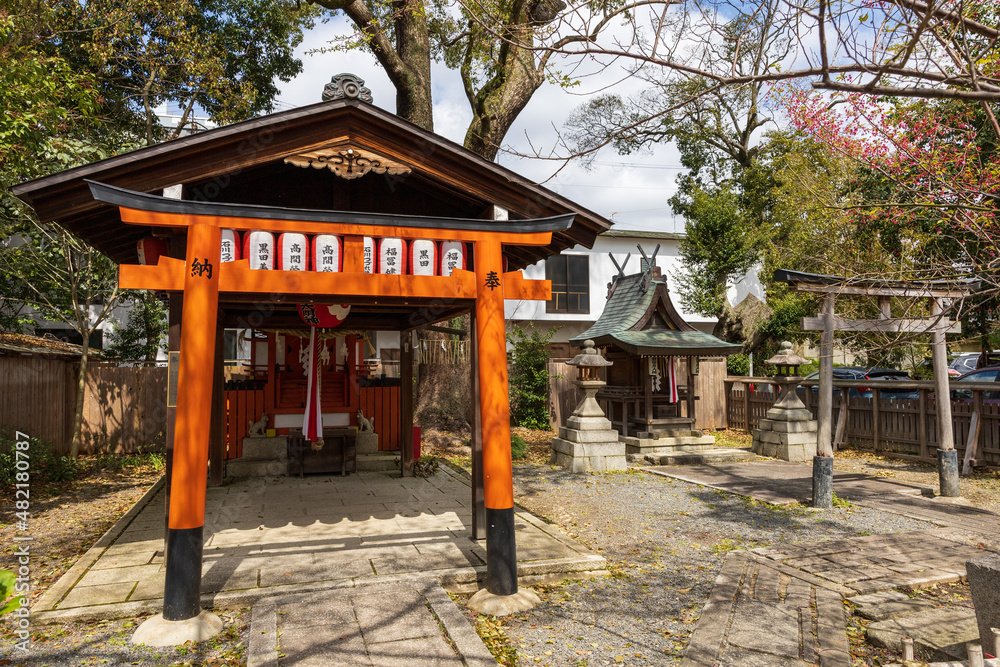 平野神社と桜 平野神社と桜
