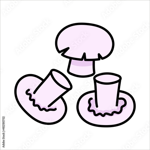 Mushrooms champignons in doodle style. Vector graphics.