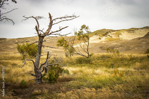 sand dunes on curonian spit, lithuania, nida, baltic countries, baltics, europe © Andrea Aigner